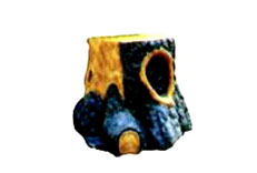 ƺ
